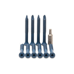 Pack de 10 tornillos para extractor de bombines VIPER 5,5mm