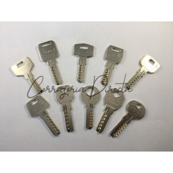 Juego de 10 llaves de seguridad